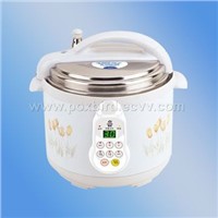 Electric Pressure Cooker 100AT