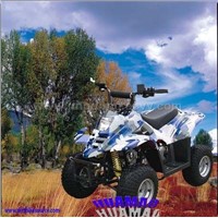 Mini ATV (Quads) 50cc