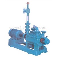 Water Ring Vacuum Pumps With Air Ejector