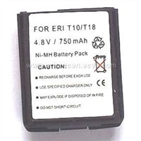 mobile phone battery and charger