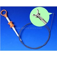 Biopsy Forceps