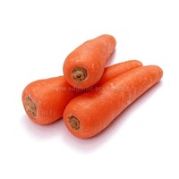 Sell Carrot