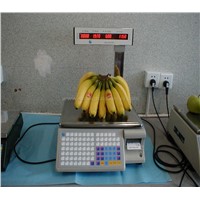 label printing scale