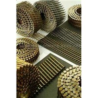 coil nails,roof coil nails,plastic sheet coil nails