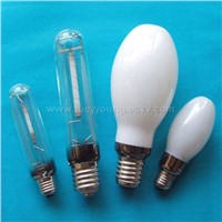Special Lamps