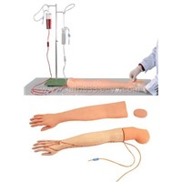 Adult Venipucture and Injection Training Arm