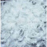 White duck or goose feather