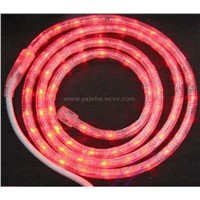 Rainbow LED Rope