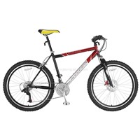 bicycles