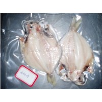 JAPANESE BUTTER FISH FILLETS BELLY CUTTED