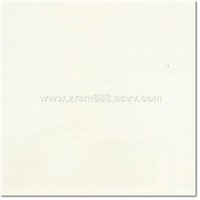 polished porcelain tiles (Zr-IV)