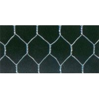 Hexagonal Mesh