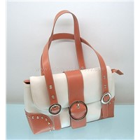 Lady handbag ZH-B2101