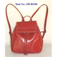 Lady Handbag ZH-B2106