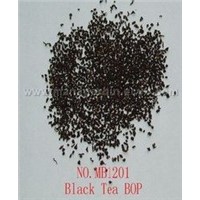 Black Tea BOP