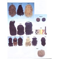 Multi-style Human Hairs