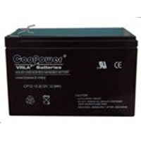 Sealed Lead Acid Battery Professional Manufacture
