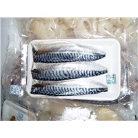 Mackerel fish fillets