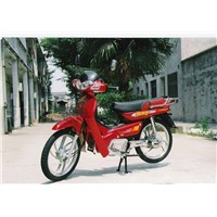 Electric motrocycle