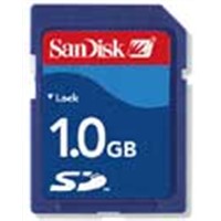Secure Digital Card (SD Card)