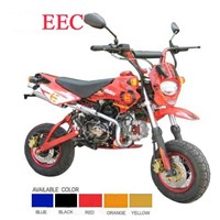 EEC Dirt Bike - CUB 125cc