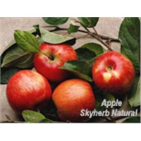 apple root extract (phloridzin)