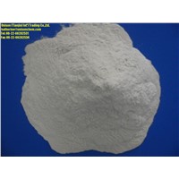 Magnesium Sulphate Monohydrate (