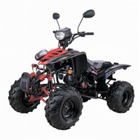 New Fashionable 110cc EEC ATV with Double A-arm Swing