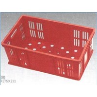 Cycle container Mould