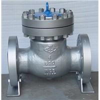 API Check valve