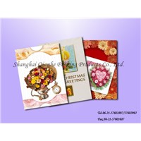 Paper Card/Greeting Card/Holiday Card
