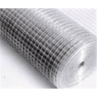 Welded Wire Mesh