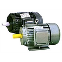 Y Series Three Phase AC TEFC Asynchronous Electric Motor