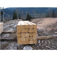 Canadian SPF timber in European dimensions