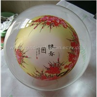 Crystal ball with picture inside