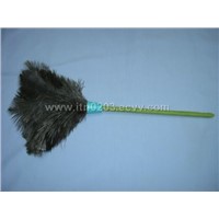 ostrich feater duster