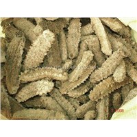 Dried Sea Cucumber