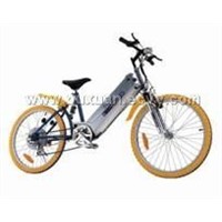 ELECTRIC BICYCLE