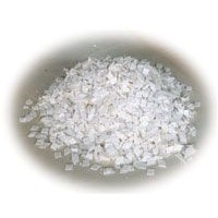 Nitrocellulose Chips