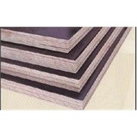 Film Faced Plywood