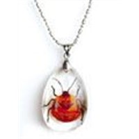 Insect Amber accouterment-285
