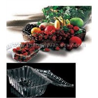salad and fruit  container, vacuum formed plastic