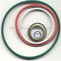 Oil Seal