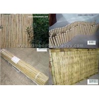 Bamboo fence and edging