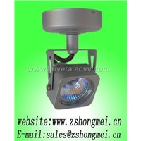 Ceiling Mounted Halogen Lamp