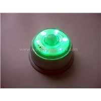 LED Lamp--green led white housing