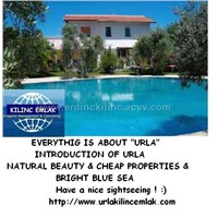 Turkey property for sale or rent