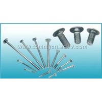 Round Head Square Neck Bolts Series