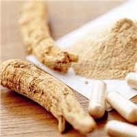 Ginseng Extract for Beverage