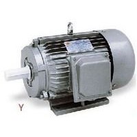Y Series Three-phase Asynchronous Induction Motor